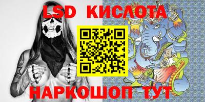 гидропоника Кингисепп