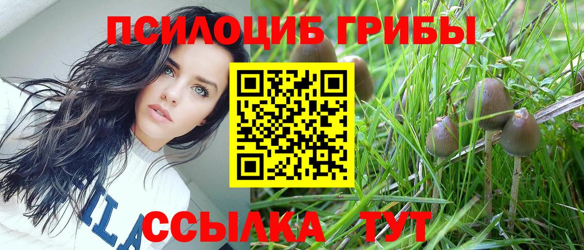 Псилоцибиновые грибы мицелий Воскресенск